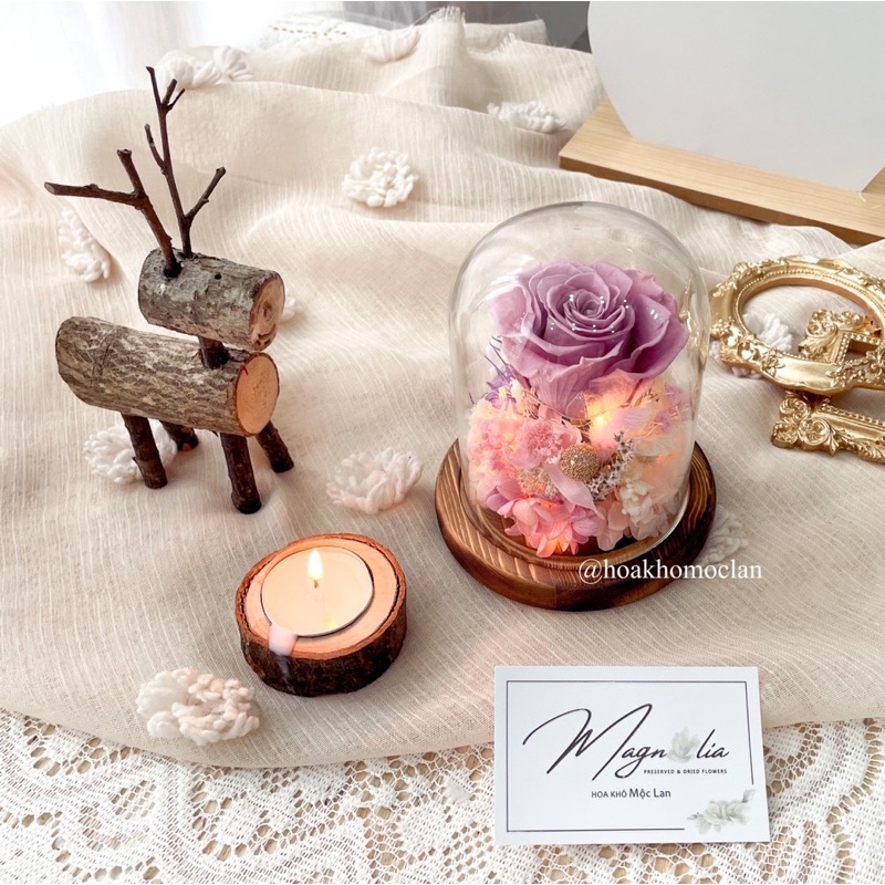 Chụp thuỷ tinh đế gỗ hoa hồng bất tử, quà tặng giáng sinh, phụ kiện chụp ảnh sản phẩm, decor trang trí bàn trang điểm