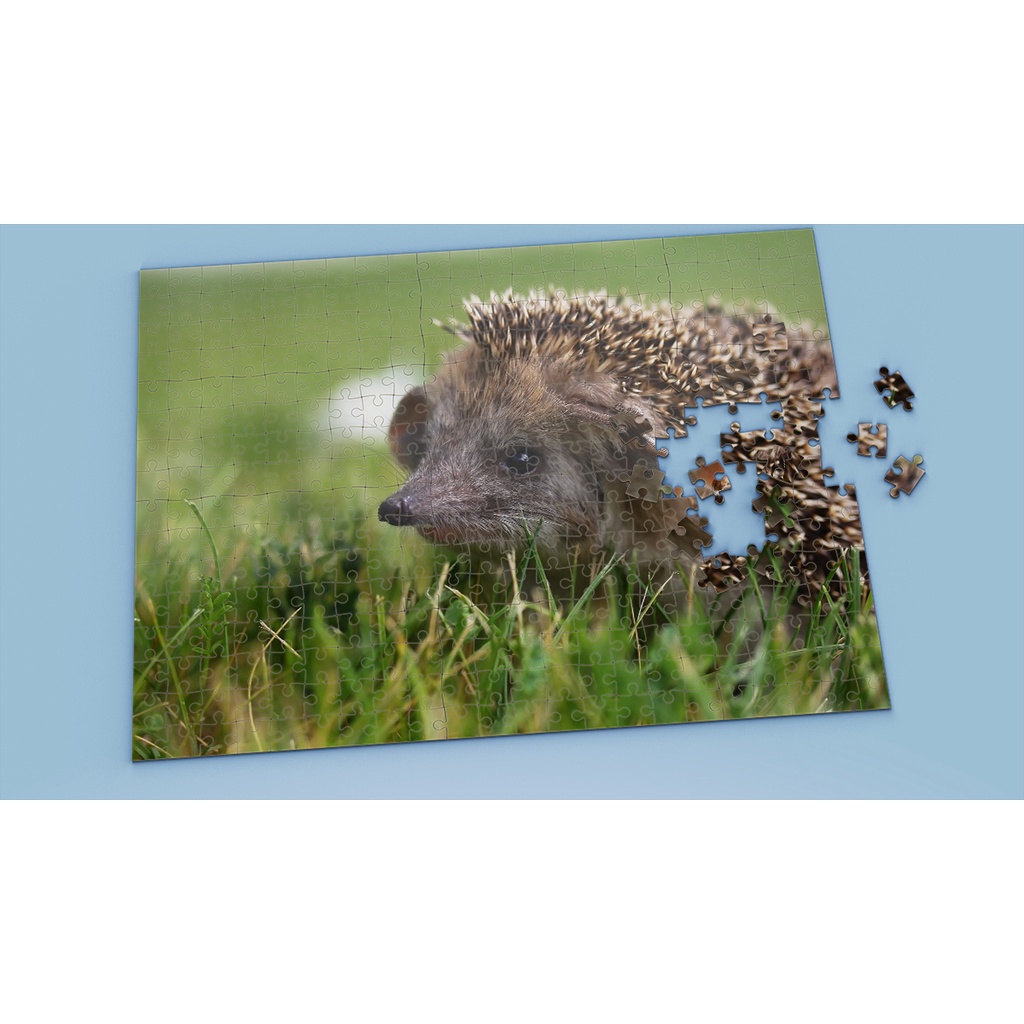 Tranh ghép hình PORCUPINE - Mẫu 1 - Nhận in theo yêu cầu