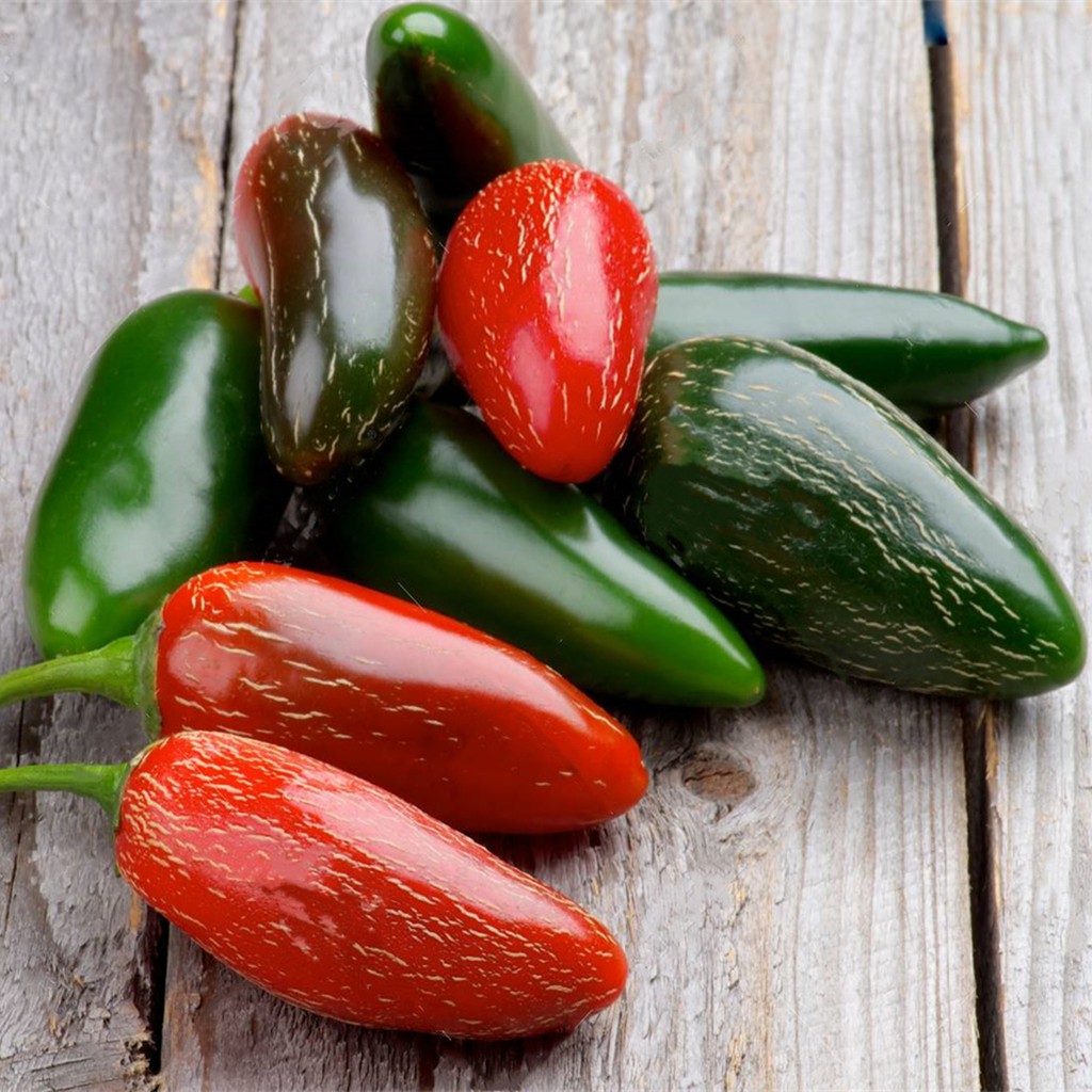 Ớt Jalapeno 20 hạt / 70 ml Ớt Mexico OP