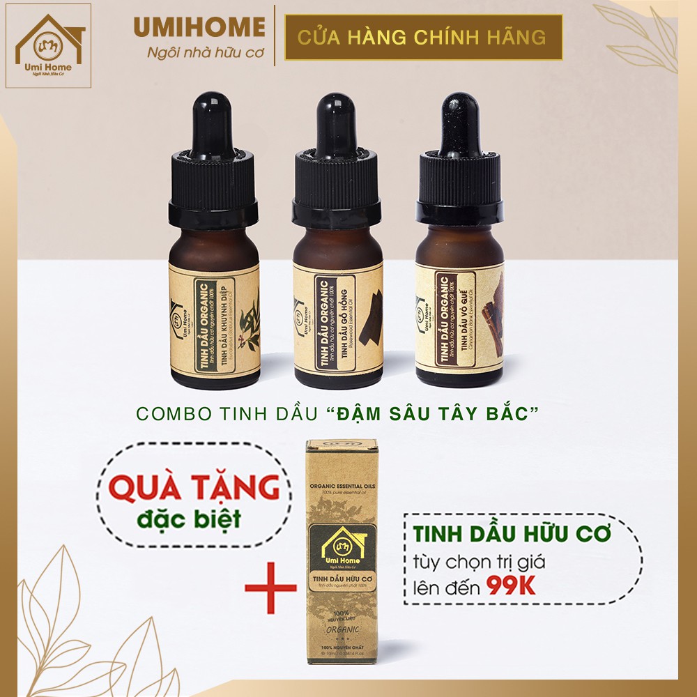 Combo 3 lọ tinh dầu Đậm Sâu Tây Bắc (Gỗ Hồng, Khuynh Diệp, Vỏ Quế) 10ml nguyên chất | Tặng kèm tinh dầu tuỳ chọn