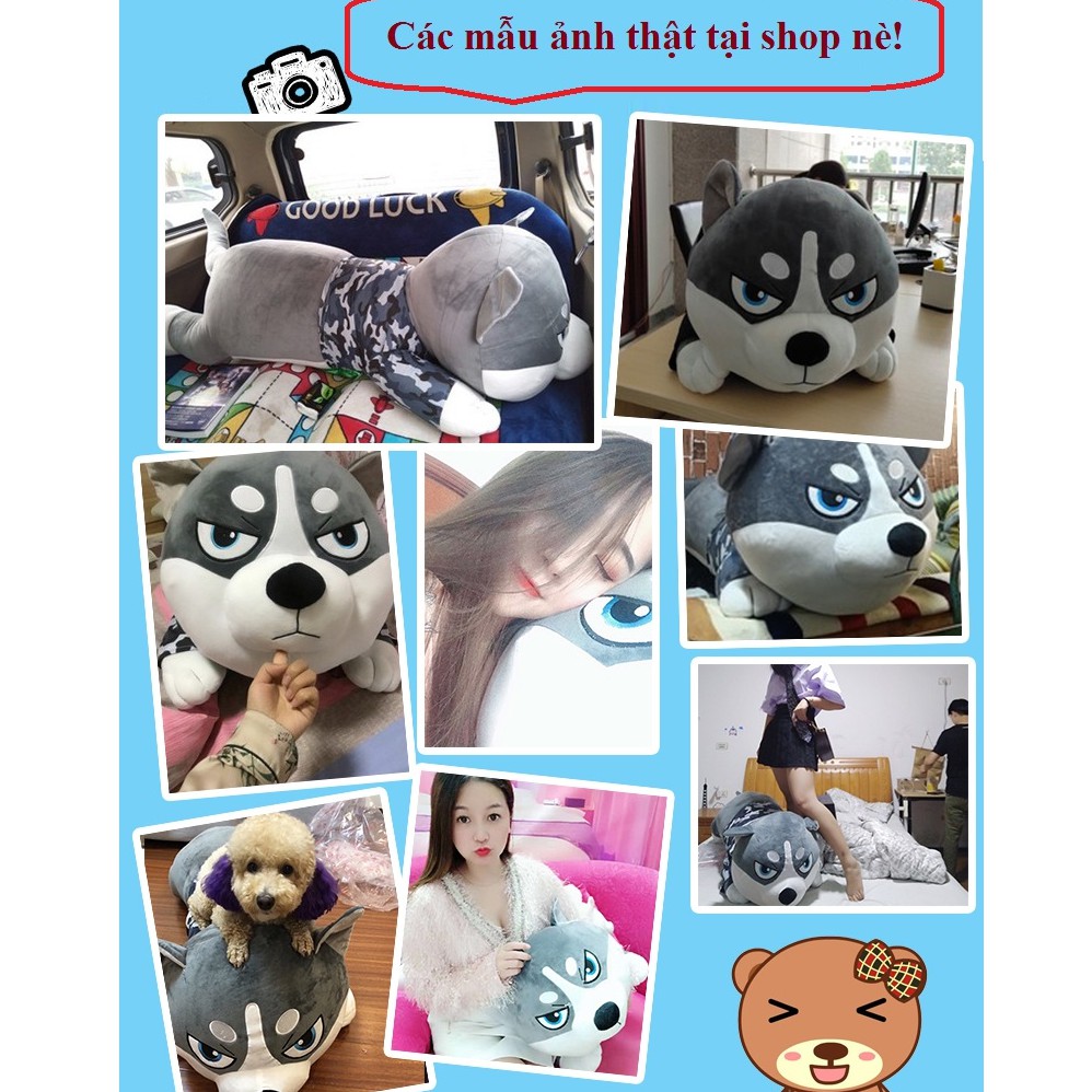 Gấu bông chó khổng lồ ,chó husky alaska , chó nhồi bông vải nhung mịn dãn 4 chiều - TeddyShop