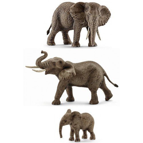 Đồ chơi Schleich Đức - Voi Châu Phi - Mã Sp 14761, 14762, 14763