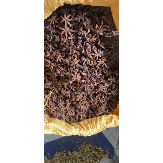 Hoa Hồi (Đại hồi) gói 100g