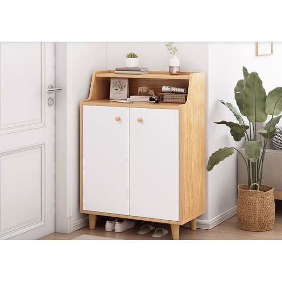Tủ Giày 2 Cánh Nhiều Ngăn Thiết Kế Hiện Đại Thẩm Mĩ Đẹp - GB170