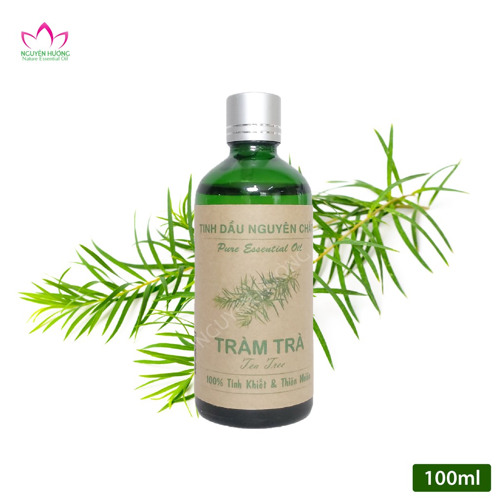 Tinh dầu tràm trà nguyên chất - Tea tree oil 10ml/50ml/100ml [Chấm mụn, Xông thơm, Treo xe..]