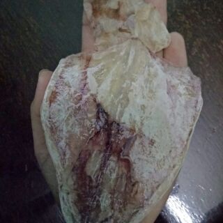 21 con khô mực ngon