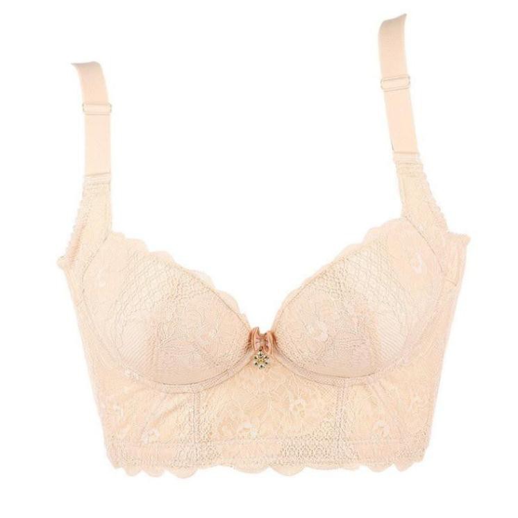 Áo Lót Gen Phối Ren Định Hình Bản To Che Khuyết Điểm Cao Cấp | BigBuy360 - bigbuy360.vn