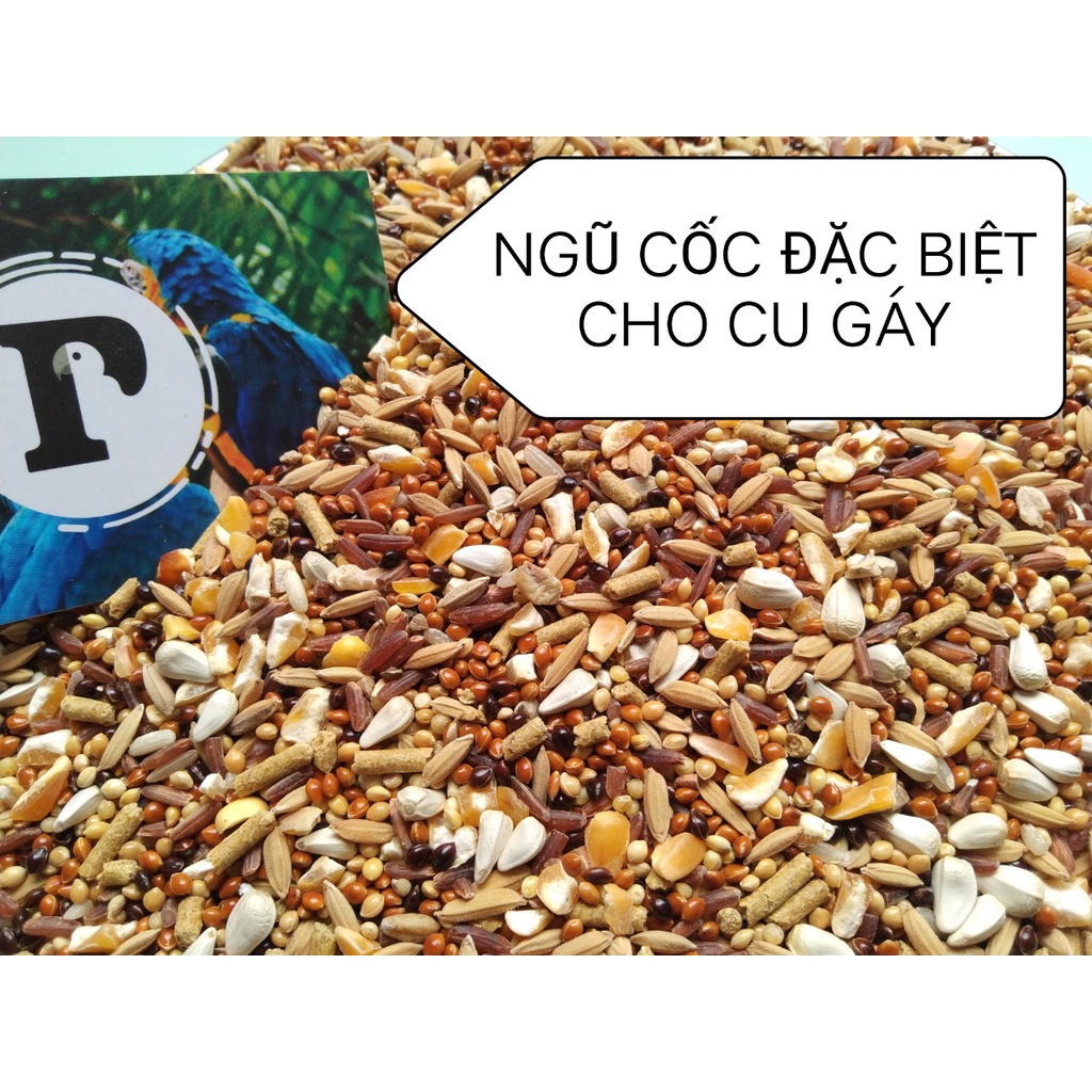 1 GÓI NGŨ CỐC ĐẶC BIỆT ĐẦY ĐỦ CHẤT DINH DƯỠNG DÀNH CHO CHO CU GÁY (500Gram)