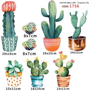 SET 8 chậu cây Decor dán tường đã gồm phụ kiện