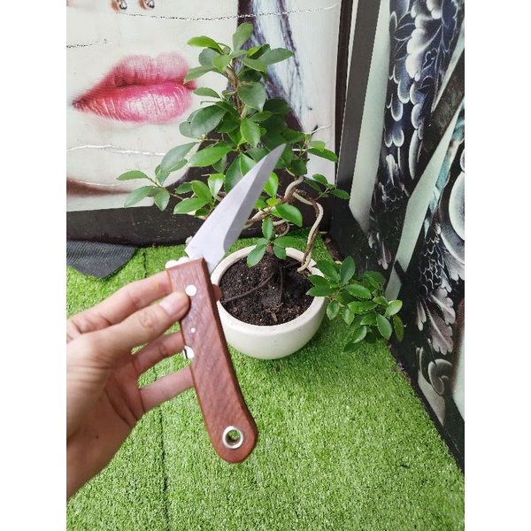 COMBO BỘ LÀM VƯỜN KÉO CƯA 8 MÓN cao cấp