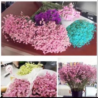 Hoa khô nhiều màu