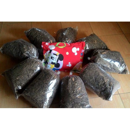 Gối lá đinh lăng cho bé chống mồ hôi trộm, ngăn giật mình