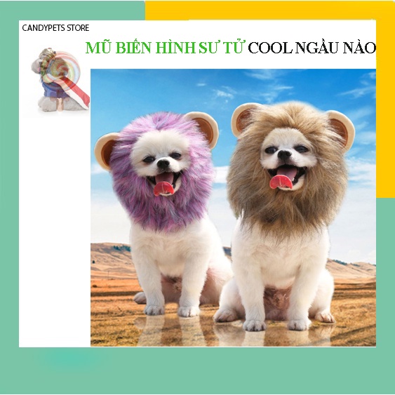 Mũ nón cho chó mèo,chó con,nón mũ cho thú cưng,cho mèo sư tử rẻ đón Noel Tết 2022 CANDYPETS MST