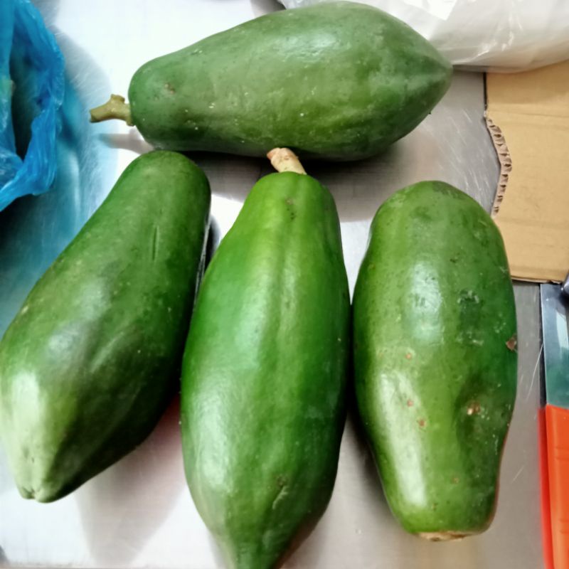 Đu Đủ Xanh 1 Trái ~1kg  (NHẬN ĐƠN GIAO NHANH QUẬN 10)