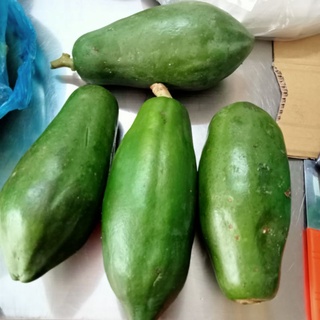 Đu đủ xanh 1 trái ~1kg