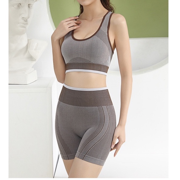 Bộ tập gym nữ quần đùi áo bra ba lỗ, bô tập yoga có mút đệm, set tập gym free size SET08
