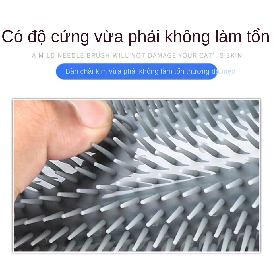 Thiết bị xoa góc Đồ chơi bóp cho mèo cào gãi mặt dùng thú cưng