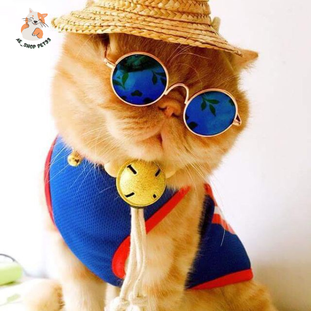MẮT KÍNH THỜI TRANG CHO CHÓ MÈO NHIỀU MÀU