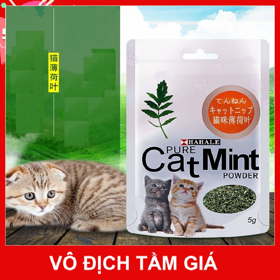 CỎ MÈO BẠC HÀ CANIP GÓI 5G - CANIP CHO MÈO