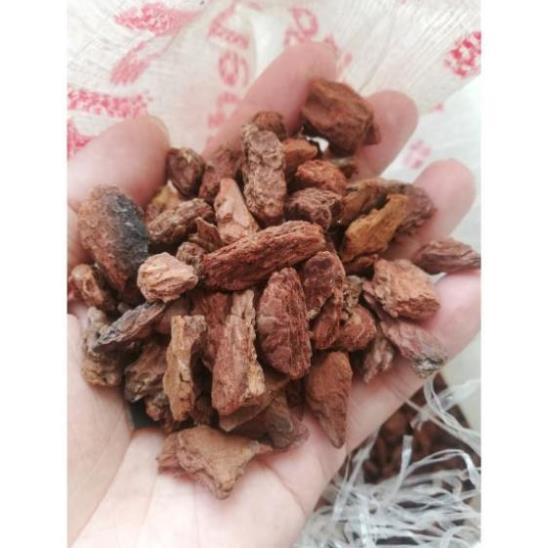 Vỏ thông lót chuồng, lót chuồng bò sát , gỗ thông lót chuồng