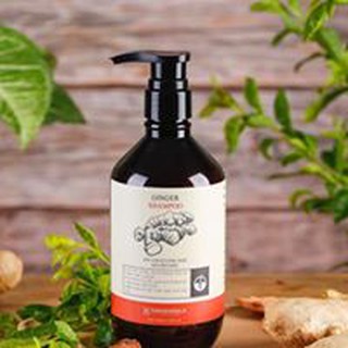 Dầu gội gừng Cỏ cây hoa lá