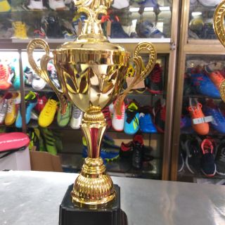 Cup vô địch VS01