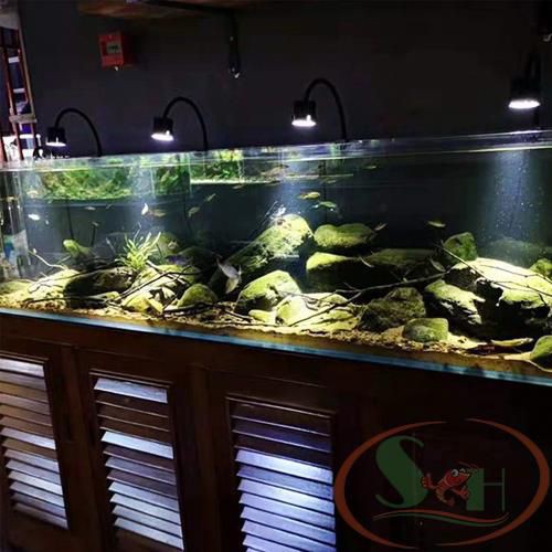 Đèn led rọi chiếu điểm 3 chế độ màu 3W, 5W, 7W rọi bể cá tép biotop bán cạn