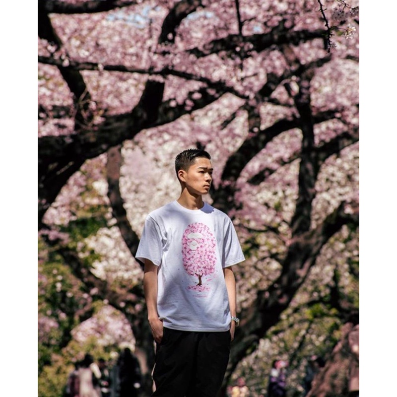 Áo Tee Bape x Sakura hoa anh đào hồng , Áo Thun Bape Shark Cá mập, chất liệu Cotton, màu đen BapeVN