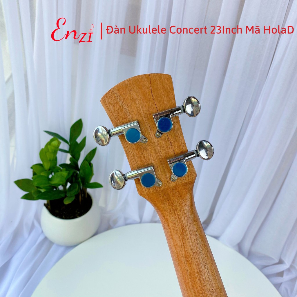 Đàn ukulele concert mã HolaD Enzi họa tiết nhí viền đen thiết kế khóa đúc cao cấp cho bạn mới bắt đầu tập chơi