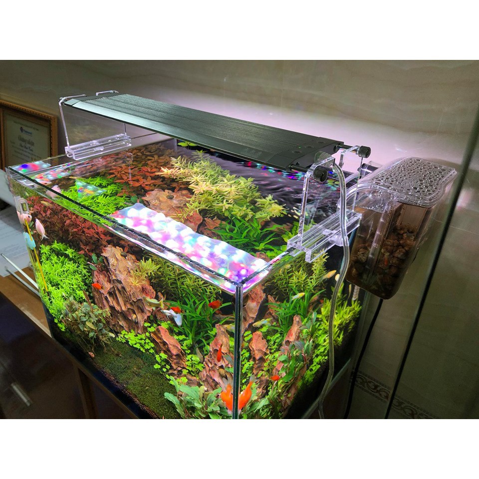 ĐÈN THỦY SINH Week Raptor WRGB - V300/ V450/V600