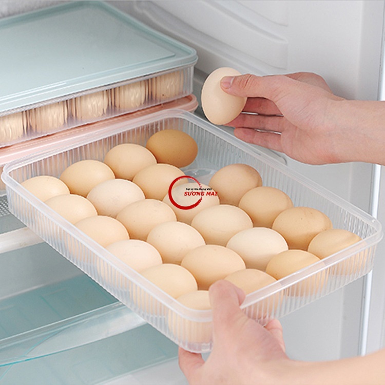 [Giá Sỉ] Hộp Nhựa Đựng Trứng 24 Quả, Khay Nhựa Đựng Thực Phẩm Có Nắp