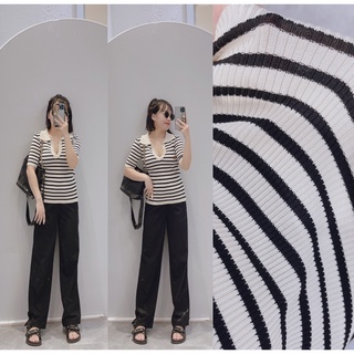 Áo len kẻ Polo cộc