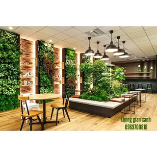 Bộ trồng cây treo tường