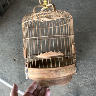 Lồng khuyên lùn nan tre xử lý