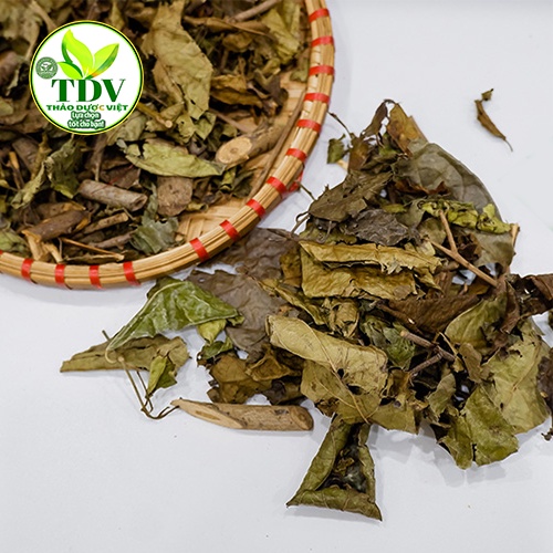 (Sỉ Tại Nhà vườn) Gói  1kg Lá Xạ đen Hòa Bình sấy khô xanh thơm giúp thanh nhiệt giải độc cơ thể - Thảo Dược Việt