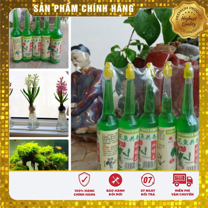 Dung dịch thủy canh dành cho cây kiểng loại 1