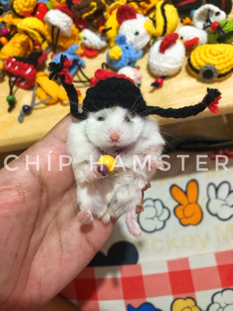 Nón len chụp ảnh ✨