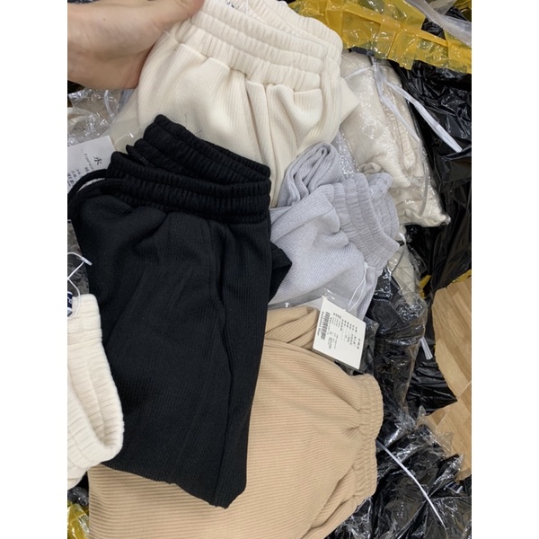 Quần boom nỉ tăm bo gấu hot