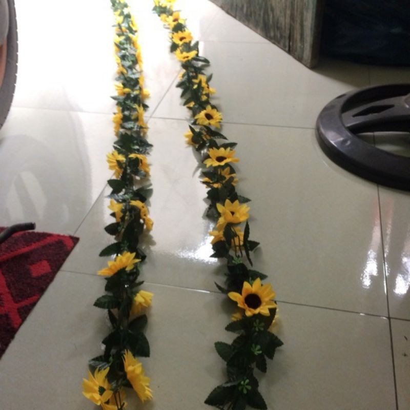 XÍCH HƯỚNG DƯƠNG 25K