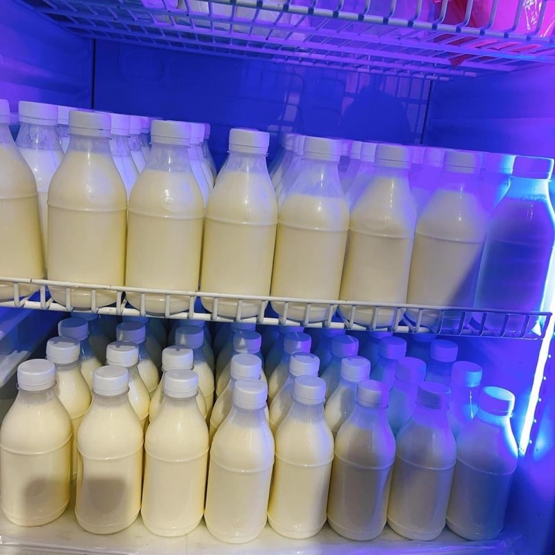 Sữa chua tươi chai 350ml max ngon đỉnh