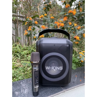 LOA BLUETOOTH W-KING T9S (Kèm 1 Micro không dây)  WKING