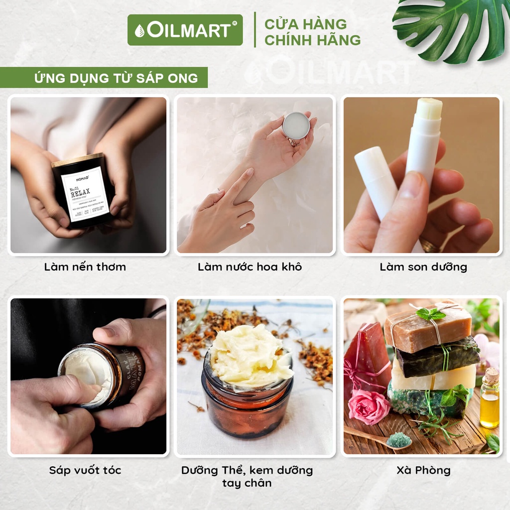 Sáp Ong Tự Nhiên Oilmart Natural Beeswax dạng viên, màu trắng ngà làm nến, son, kem dưỡng.