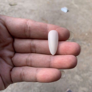 Móng úp tay HSM nhám  Oval ( tròn nhọn)