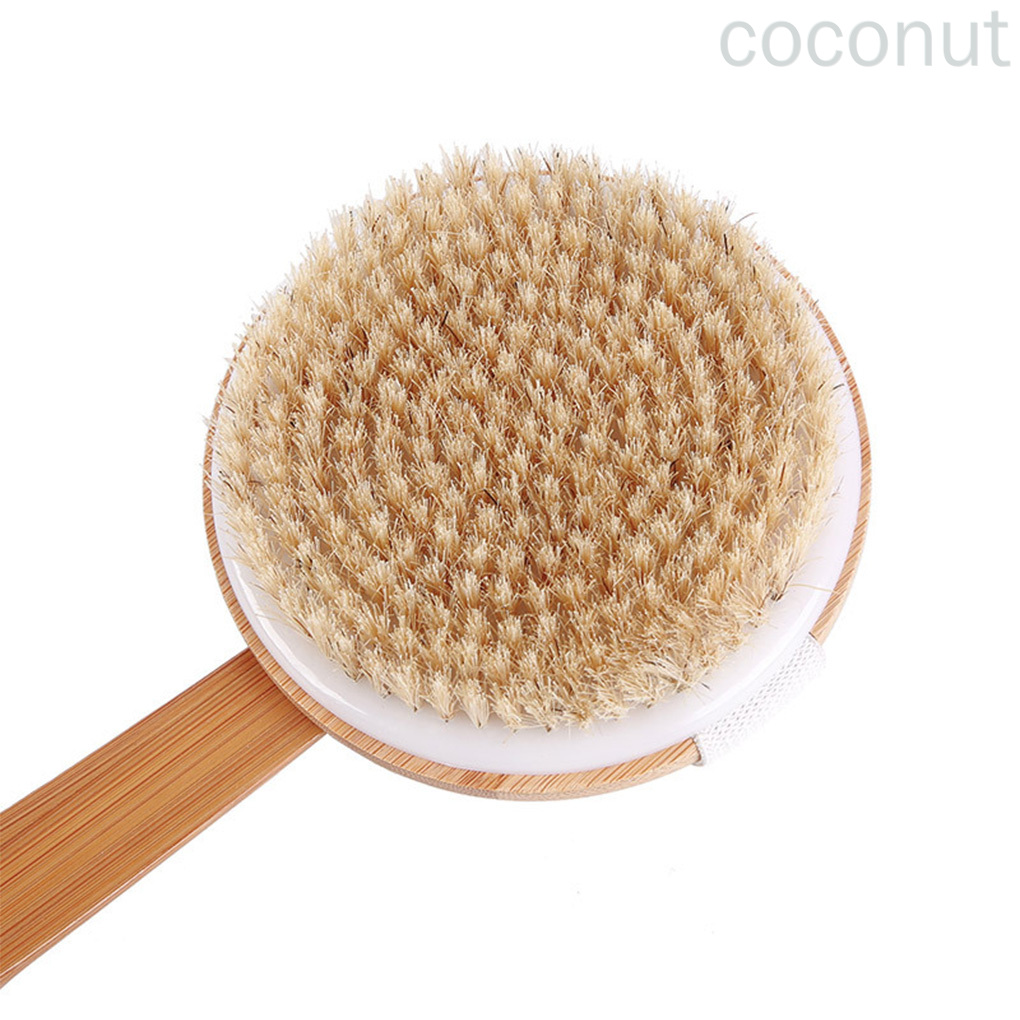 (Hàng Mới Về) 1 Bàn Chải Tắm Cán Dài Chăm Sóc Cơ Thể | BigBuy360 - bigbuy360.vn