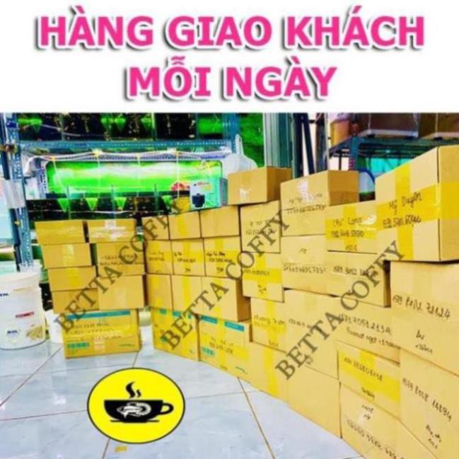 Vợt Nước Siêu Tiện Lợi - Chống sốc khi vớt cá