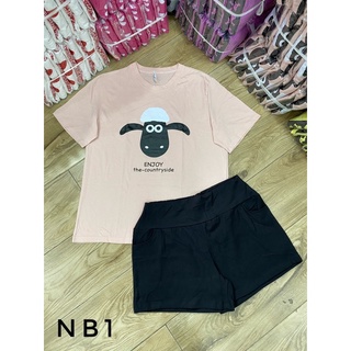Bộ thun đùi cotton bigsize 60-85kg