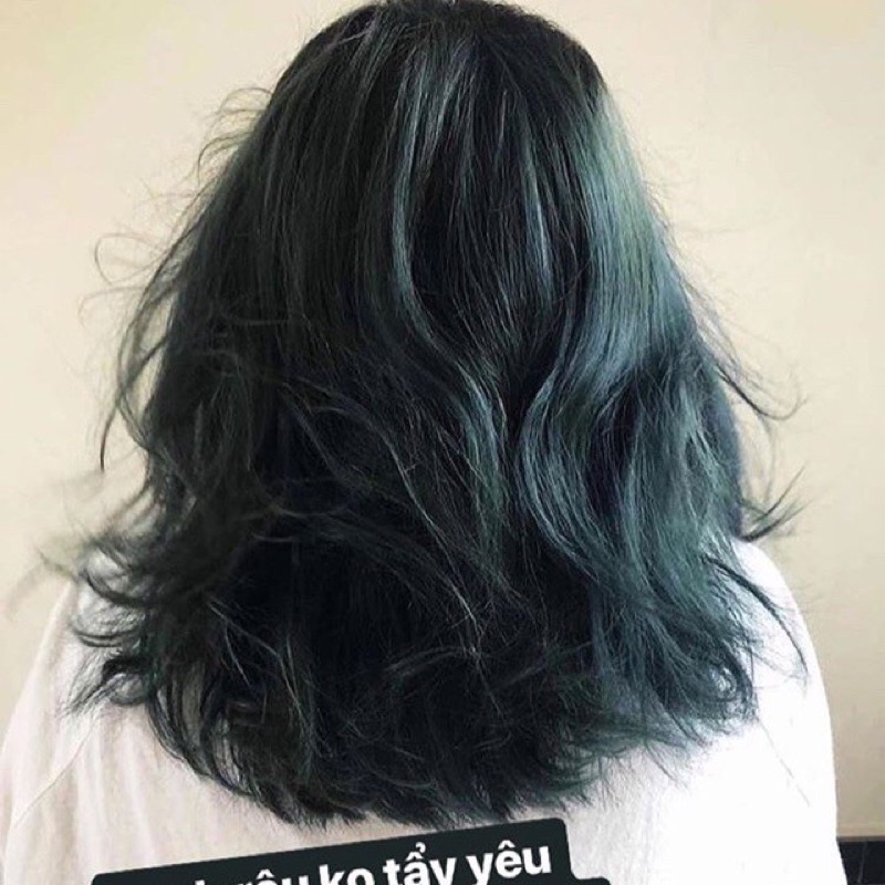 Thuốc nhuộm tóc màu RÊU ĐEN/RÊU ĐÁ LẠNH (không cần tẩy tóc) by Huogn.hairs ✨