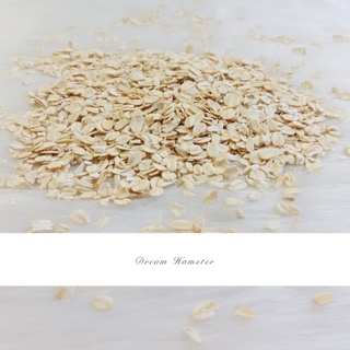 Yến mạch bổ dưỡng cho Hamster (100gr)