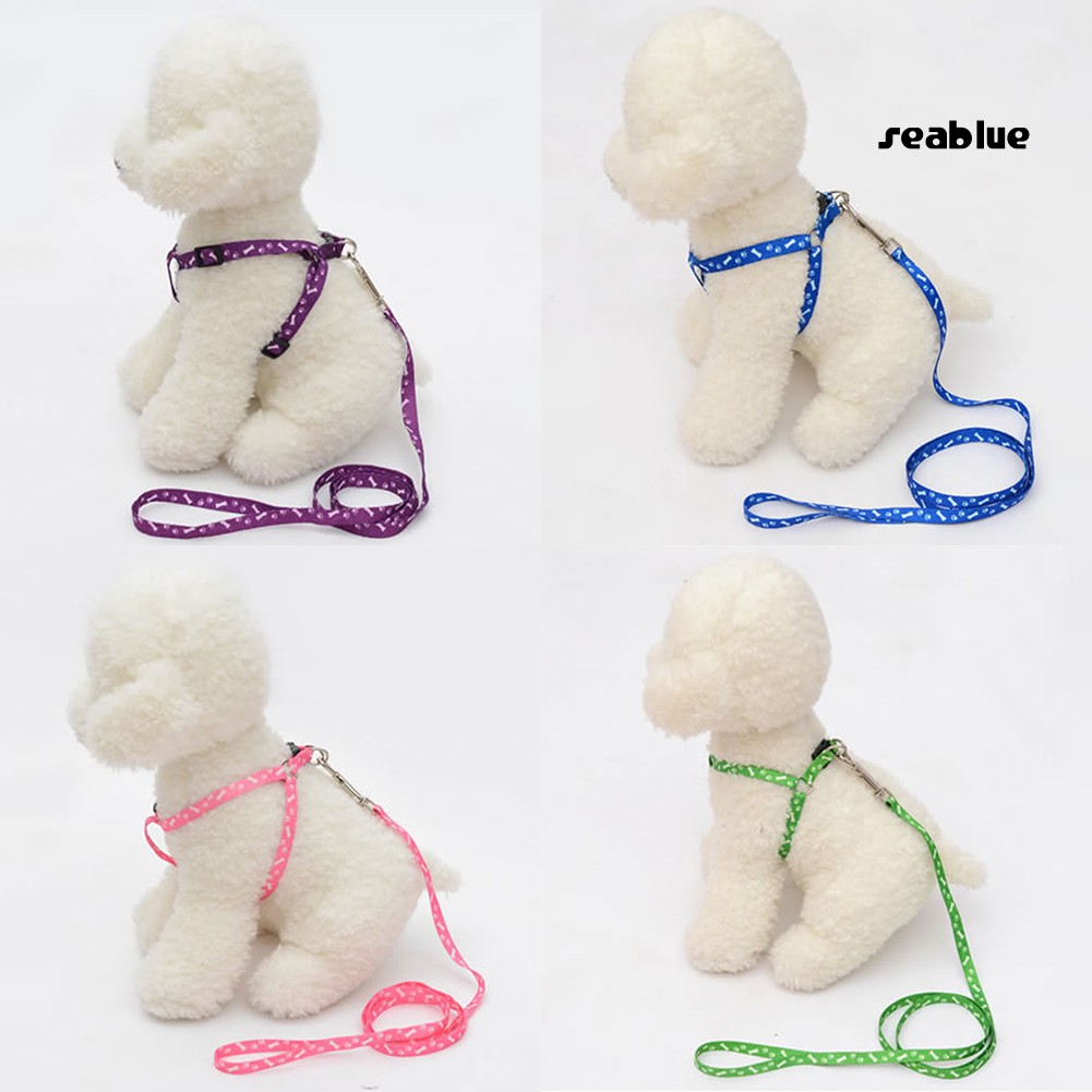 Dây Dắt Thú Cưng Đi Dạo Nhiều Màu Sắc 120cm