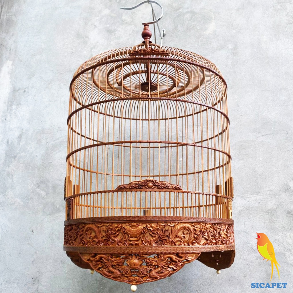 Lồng chim chòe than, chim chòe lửa, chim chích chòe, chim chào mào, Lồng nuôi chim chòe than, chim chòe lửa SICAPET